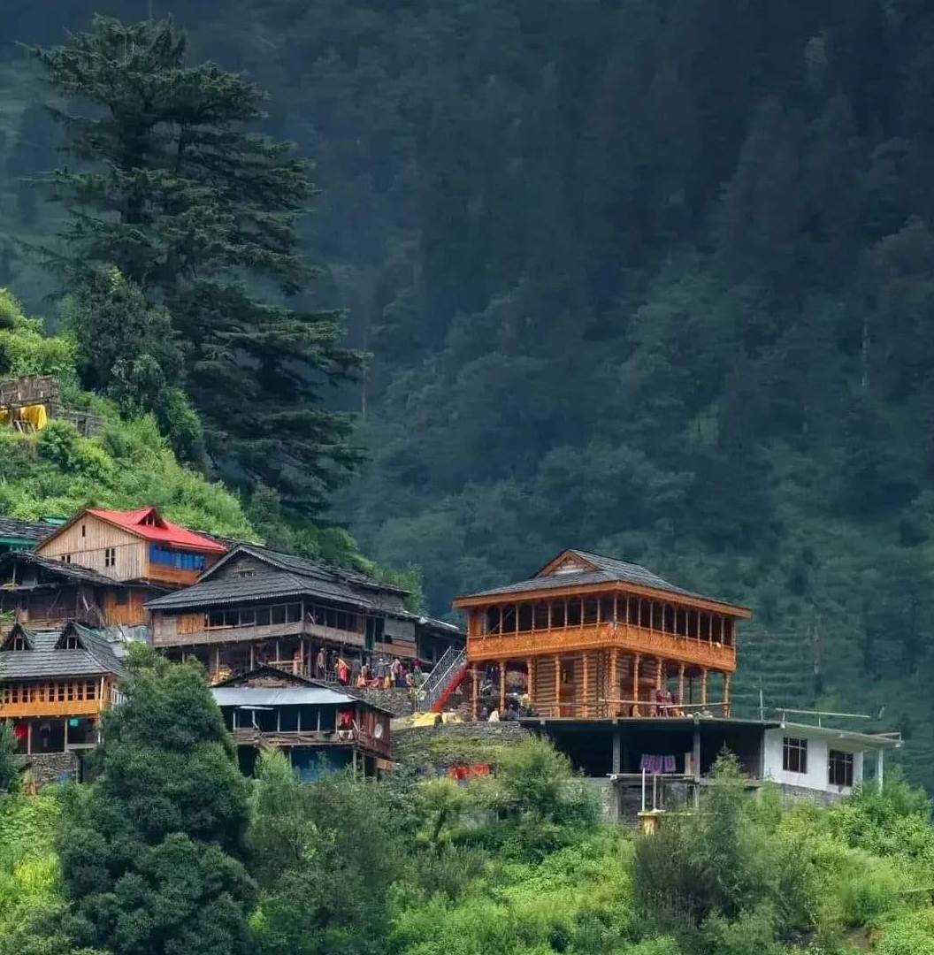 Manali-Hotels